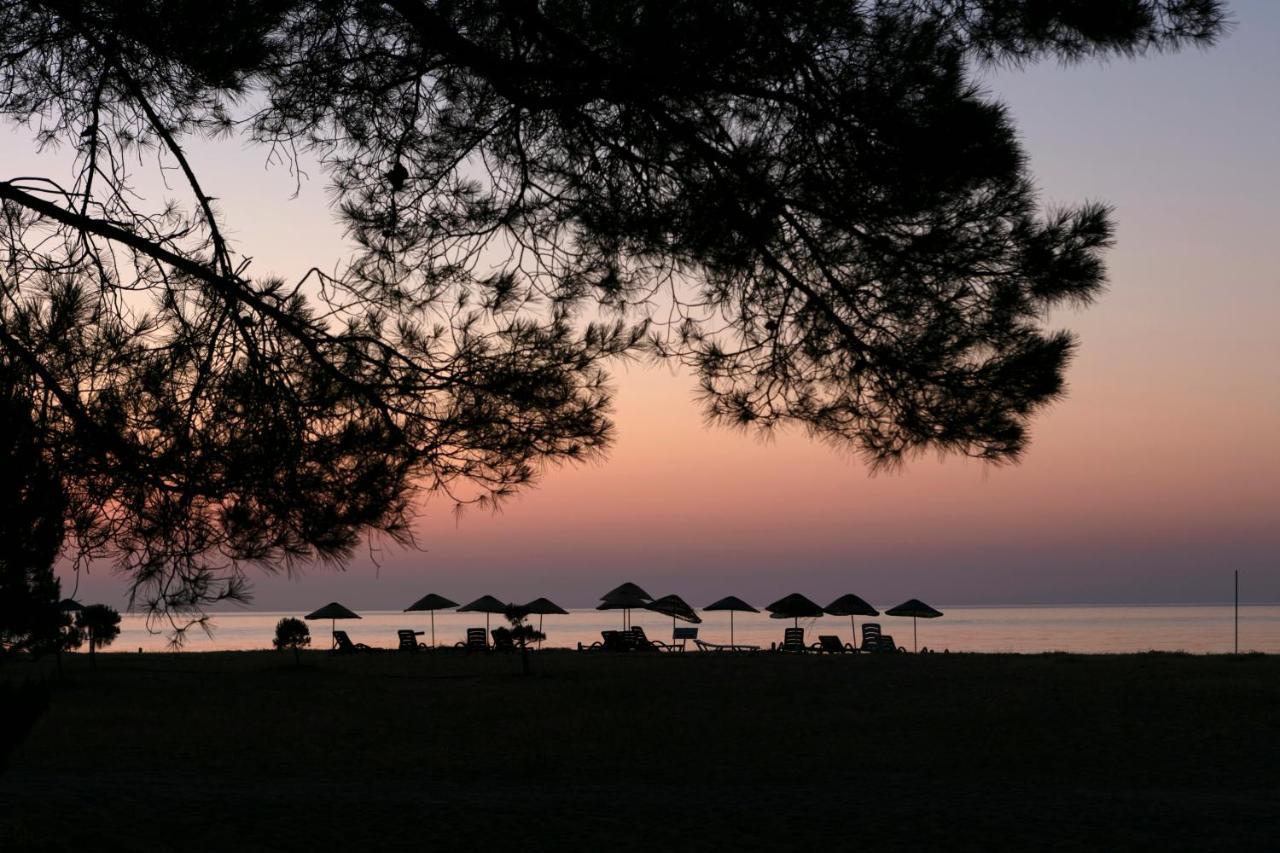 Gayb-I Bungalows By Naturelife - Free Access To Beach Çıralı Eksteriør billede