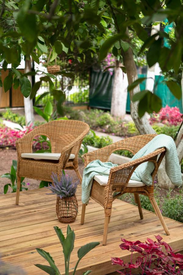 Gayb-I Bungalows By Naturelife - Free Access To Beach Çıralı Eksteriør billede